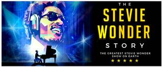 Die Stevie-Wonder-Story